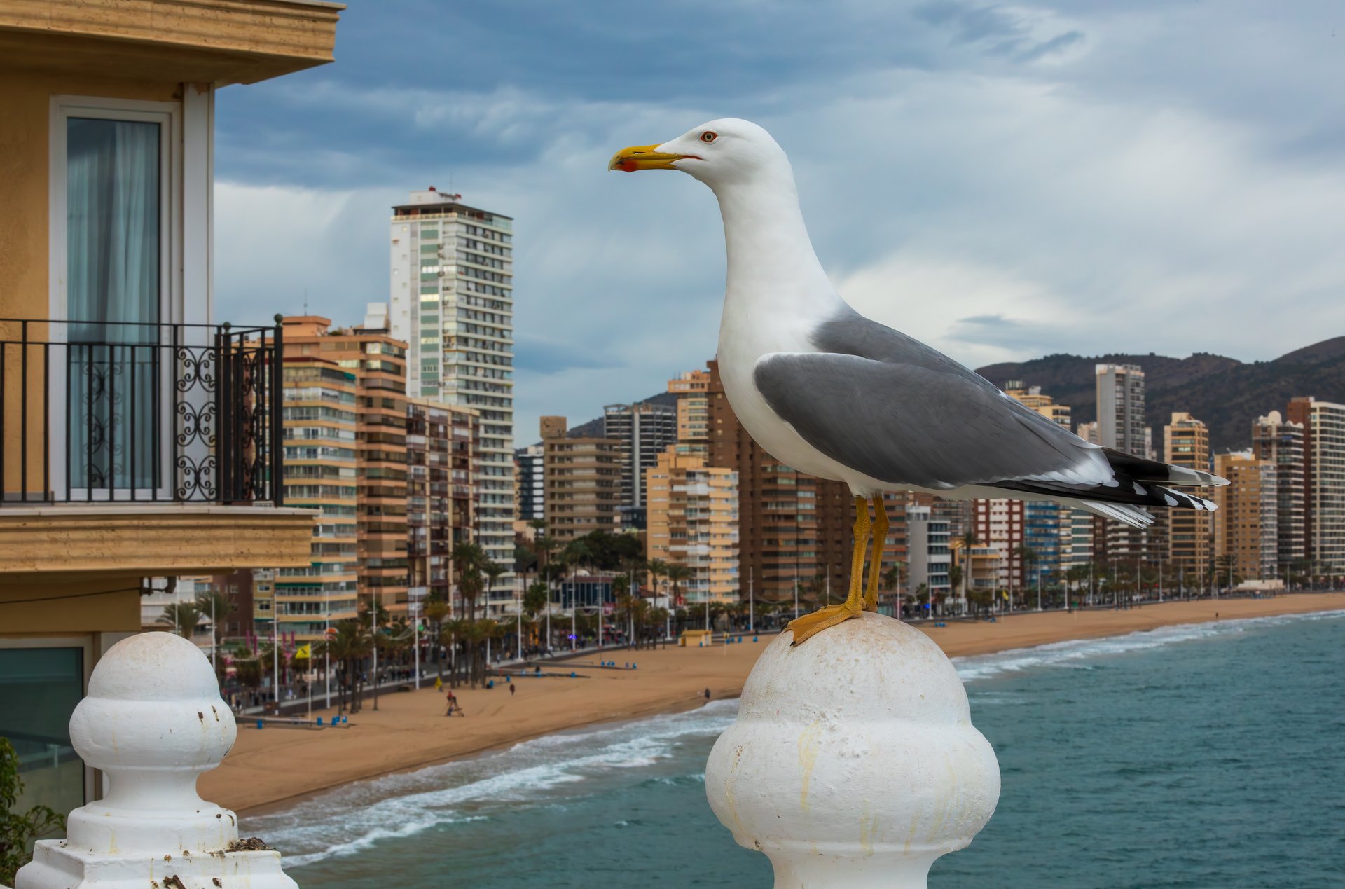 Alicante