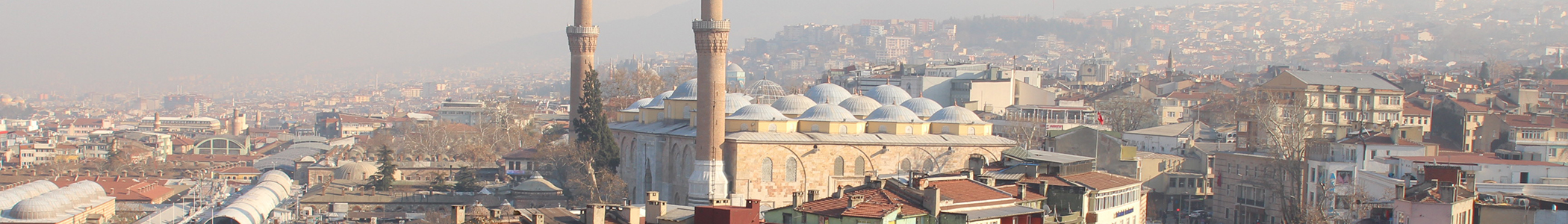 Bursa