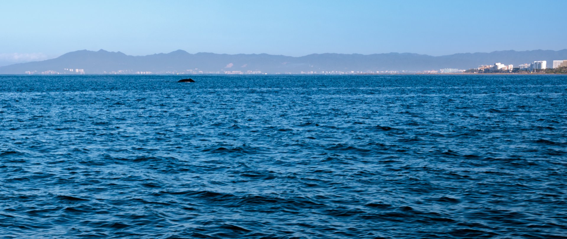 Puerto Vallarta